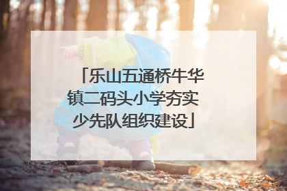 乐山五通桥牛华镇二码头小学夯实少先队组织建设