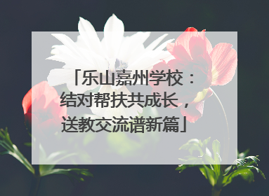 乐山嘉州学校：结对帮扶共成长，送教交流谱新篇