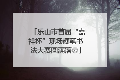 乐山市首届“嘉祥杯”现场硬笔书法大赛圆满落幕