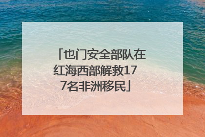 也门安全部队在红海西部解救177名非洲移民