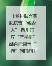 乡村振兴实践培育“新农人” 四川宜宾“产学研”融合把课堂“搬”到田间