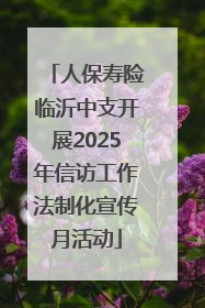 人保寿险临沂中支开展2025年信访工作法制化宣传月活动