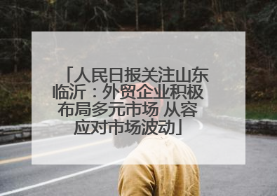 人民日报关注山东临沂：外贸企业积极布局多元市场 从容应对市场波动