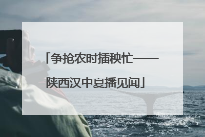 争抢农时插秧忙——陕西汉中夏播见闻