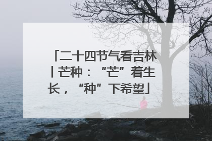 二十四节气看吉林丨芒种：“芒”着生长，“种”下希望