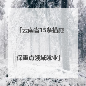 云南省15条措施保重点领域就业