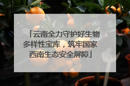 云南全力守护好生物多样性宝库，筑牢国家西南生态安全屏障