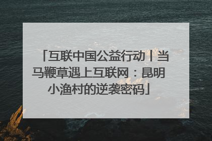 互联中国公益行动丨当马鞭草遇上互联网：昆明小渔村的逆袭密码