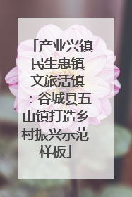 产业兴镇 民生惠镇 文旅活镇：谷城县五山镇打造乡村振兴示范样板