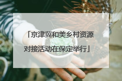 京津冀和美乡村资源对接活动在保定举行