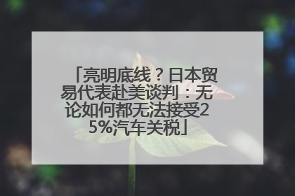 亮明底线？日本贸易代表赴美谈判：无论如何都无法接受25%汽车关税