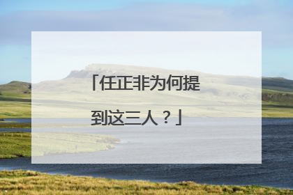 任正非为何提到这三人？