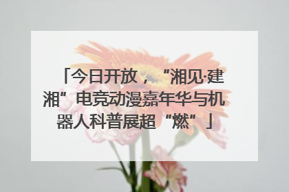 今日开放，“湘见·建湘”电竞动漫嘉年华与机器人科普展超“燃”