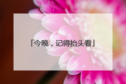 今晚，记得抬头看