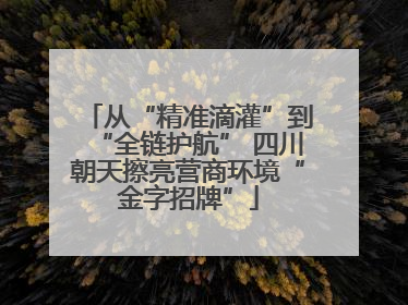 从“精准滴灌”到“全链护航” 四川朝天擦亮营商环境“金字招牌”