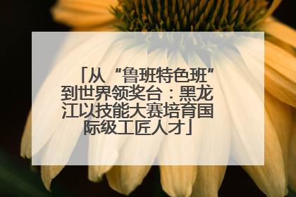 从“鲁班特色班”到世界领奖台：黑龙江以技能大赛培育国际级工匠人才