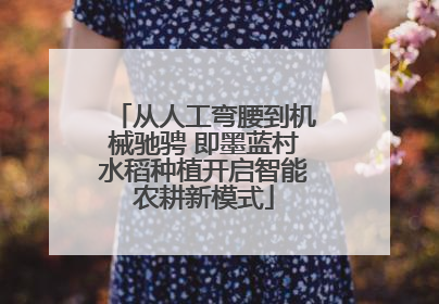 从人工弯腰到机械驰骋 即墨蓝村水稻种植开启智能农耕新模式
