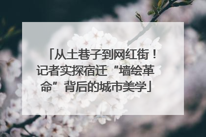 从土巷子到网红街！记者实探宿迁“墙绘革命”背后的城市美学