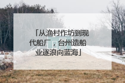 从渔村作坊到现代船厂，台州造船业逐浪向蓝海