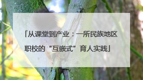 从课堂到产业：一所民族地区职校的“互嵌式”育人实践