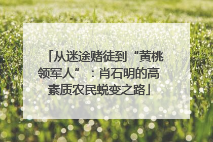从迷途赌徒到“黄桃领军人”：肖石明的高素质农民蜕变之路