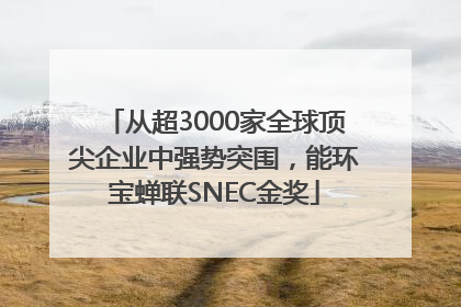 从超3000家全球顶尖企业中强势突围，能环宝蝉联SNEC金奖