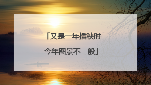 又是一年插秧时 今年图景不一般