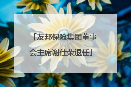 友邦保险集团董事会主席谢仕荣退任