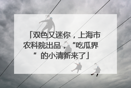 双色又迷你，上海市农科院出品，“吃瓜界”的小清新来了