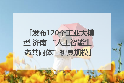 发布120个工业大模型 济南 “人工智能生态共同体”初具规模