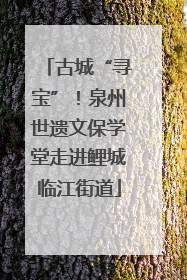古城“寻宝”！泉州世遗文保学堂走进鲤城临江街道