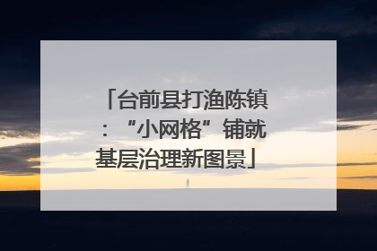 台前县打渔陈镇：“小网格”铺就基层治理新图景