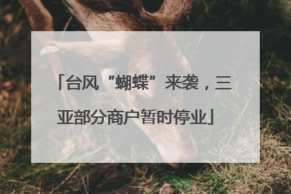 台风“蝴蝶”来袭，三亚部分商户暂时停业