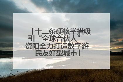 十二条硬核举措吸引“全球合伙人” 资阳全力打造数字游民友好型城市