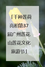 千种莲荷亮相第37届广州莲花山莲花文化旅游节