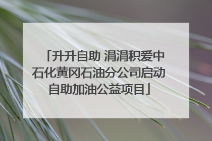 升升自助 涓涓积爱中石化黄冈石油分公司启动自助加油公益项目