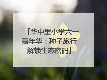 华中里小学六一嘉年华：种子旅行解锁生态密码