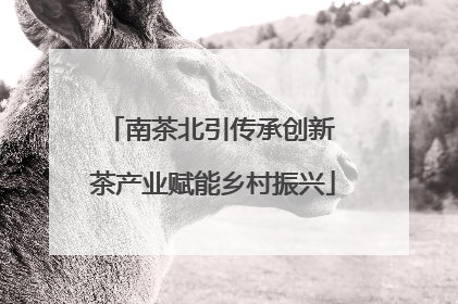 南茶北引传承创新 茶产业赋能乡村振兴