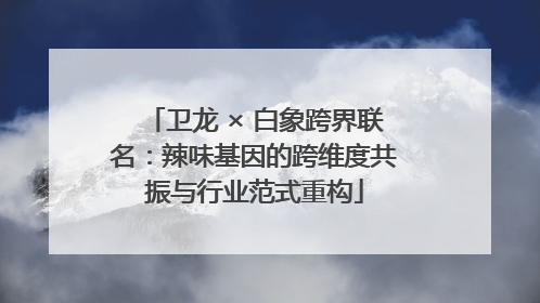 卫龙 × 白象跨界联名：辣味基因的跨维度共振与行业范式重构