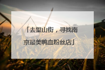 去望山街，寻找南京最美鸭血粉丝店