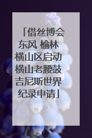 借丝博会东风 榆林横山区启动横山老腰鼓吉尼斯世界纪录申请