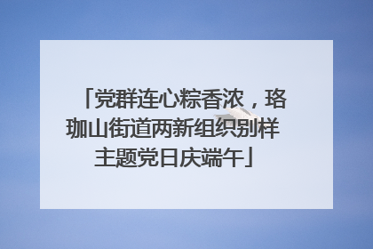 党群连心粽香浓，珞珈山街道两新组织别样主题党日庆端午