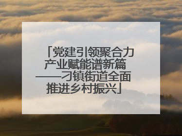 党建引领聚合力 产业赋能谱新篇——刁镇街道全面推进乡村振兴