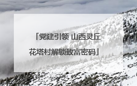 党建引领 山西灵丘花塔村解锁致富密码