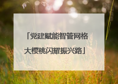 党建赋能智管网格 大樱桃闪耀振兴路