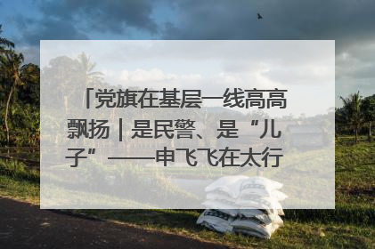 党旗在基层一线高高飘扬｜是民警、是“儿子”——申飞飞在太行山中的一线坚守