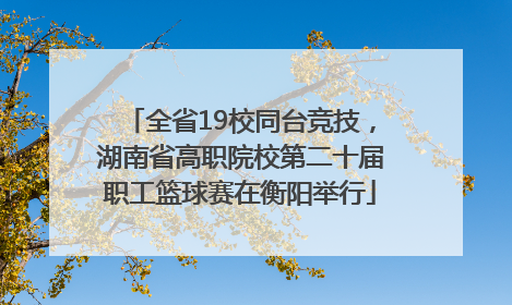 全省19校同台竞技，湖南省高职院校第二十届职工篮球赛在衡阳举行