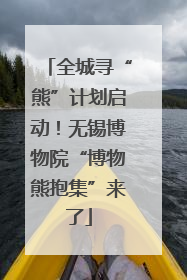 全城寻“熊”计划启动！无锡博物院“博物熊抱集”来了
