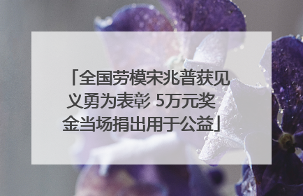 全国劳模宋兆普获见义勇为表彰 5万元奖金当场捐出用于公益