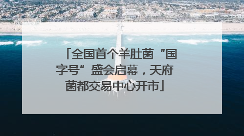 全国首个羊肚菌“国字号”盛会启幕，天府菌都交易中心开市